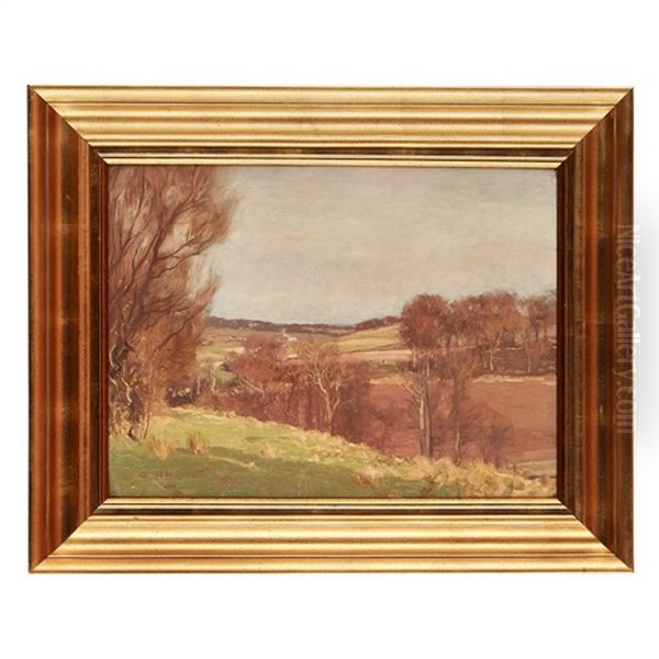 Dalry Landscape In Winter - view 1