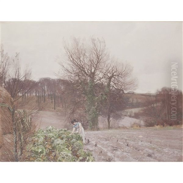 Winter Vegetables - view 1