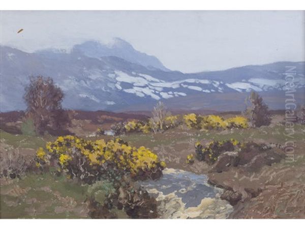 Whins And Snow - view 1
