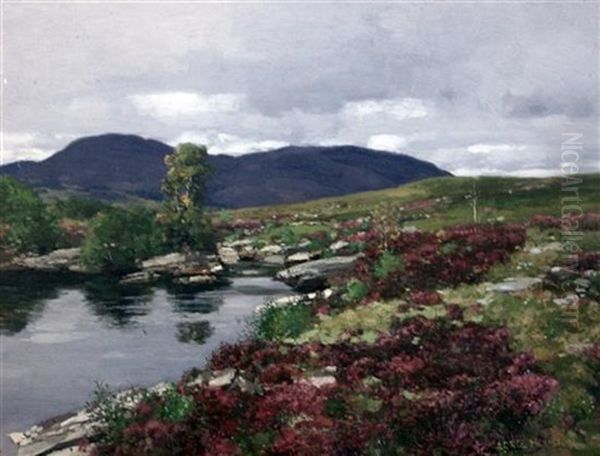 Heather Beside A Moorland Stream - view 1