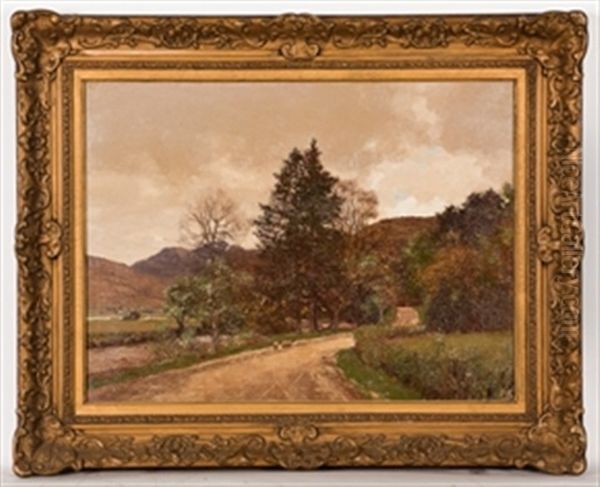 The Long, Winding Road In Argyll - view 1