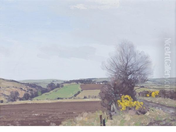 Pasture, Ayrshire - view 1