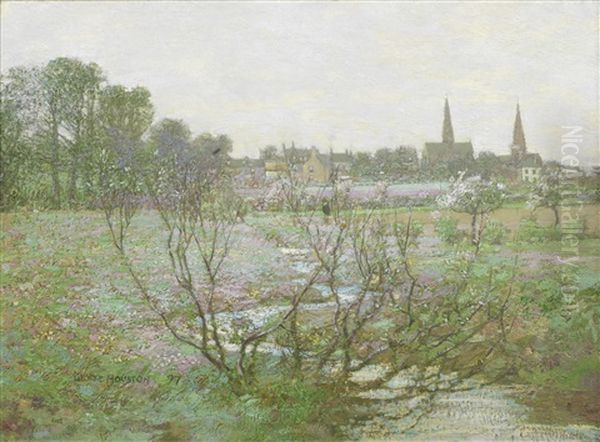 Dalry In Spring - view 1