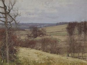 A Grey Day In Ayrshire