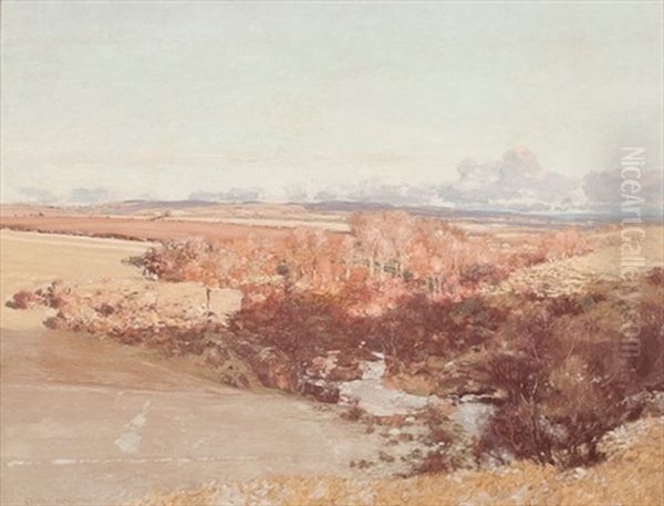 Late Winter Near Dalry, Ayrshire - view 1