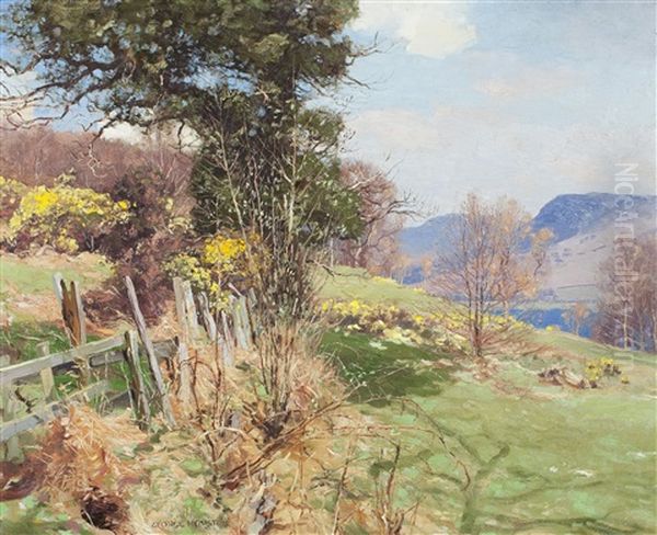 Whins In Bloom - view 1
