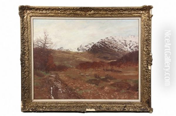 Sheep In Winter Mountain Pasture - view 1