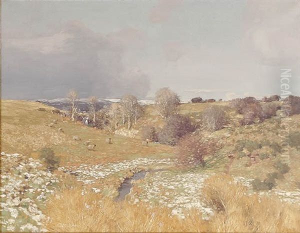 Expansive Landscape With Grazing Sheep - view 1