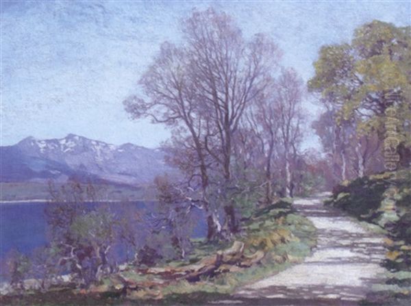 A Road Alongside A Lake - view 1