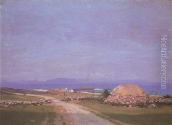Isle Of Tiree - view 1