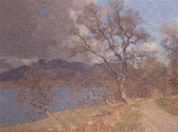 Loch Lomond - view 1