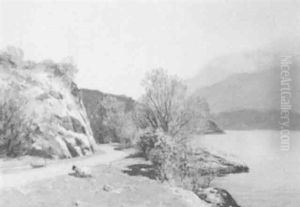 Sheep By A Loch