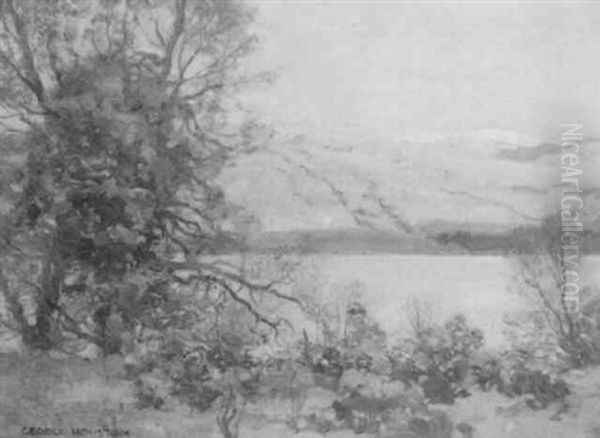 Evening Light, Loch Fyne - view 1