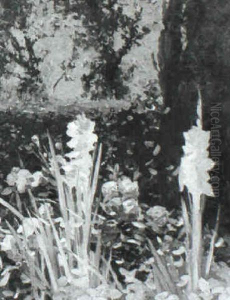 A Corner Of The Garden - view 1