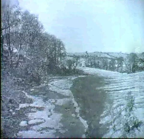 The River Stinghar, Ayrshire - view 1
