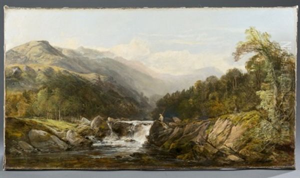 Landscape - view 1