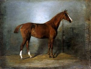 Ostpreussische Remonte (einjahriges Zuchtpferd) by Barbara van Houten