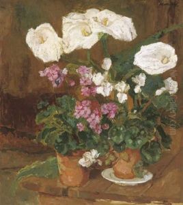 Potted Plants