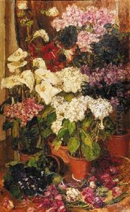 A Still Life With Hydrangea, Amaryliss And Rhododendrons In Terracotta Pots