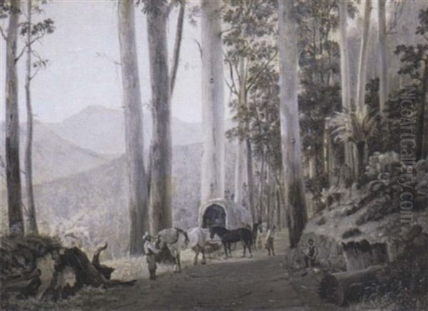 Near Macedon, Victoria - view 1