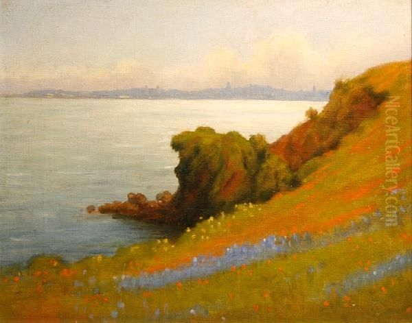 Marin Wildflowers With San Francisco In Thedistance - view 1