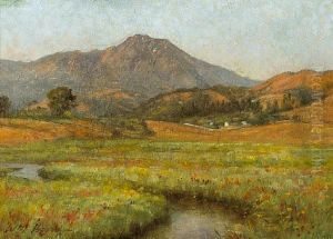 Poppies Beneath Mt. Tamalpais
