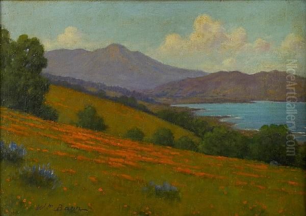 Mount Tamalpais And San Francisco Bay - view 1