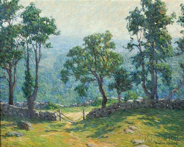 Verdant Summer Landscape - view 1
