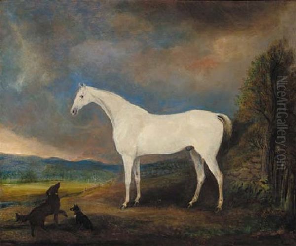 A Grey Horse With A Spaniel And A Terrier, In An Extensive Mountainous Landscape - view 1