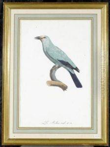 Le Rollier Verd by Jacques Barraband