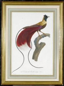 L'oiseau De Paradis Rouge by Jacques Barraband