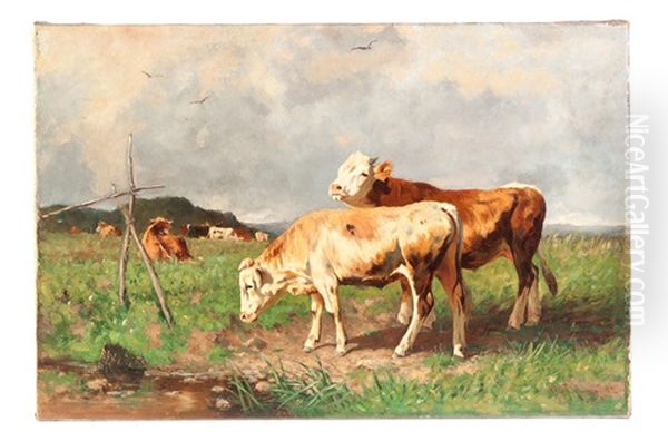Cattle - view 1