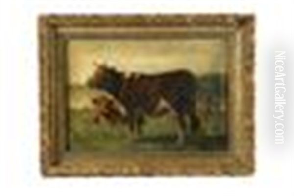 Cattle In A Field - view 1