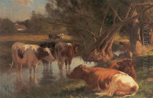 Cows Watering Beside A Stream - view 1