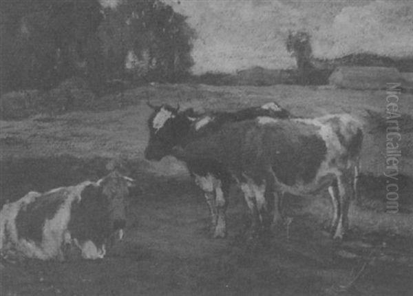 Cows Resting - view 1
