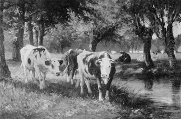 In A Shady Grove - view 1