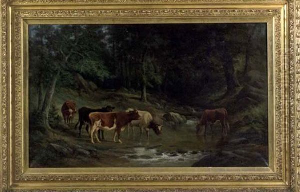 Cattle Drinking - view 1