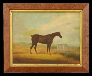 Chestnut Stallion In A Landscape With A View Of A Country Manor