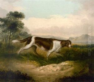 "flora" Sporting Dog In Landscape "flora" Sporting Dog In Landscape