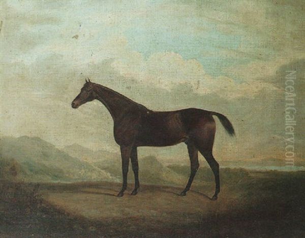 A Bay Hunter "romulus" In A Landscape - view 1