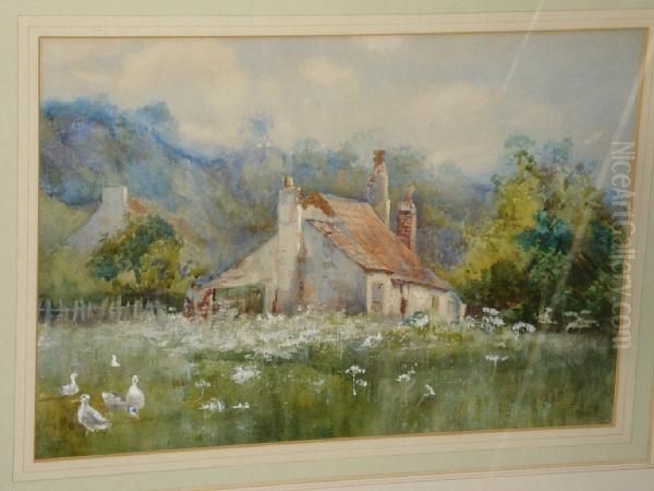 Ducks And Geese Before Cottages And Hills - view 1