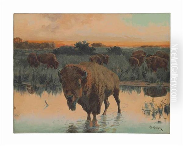 Group Of Buffalo At Edge Of A River - view 1