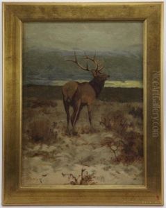 Fraser Valley Colorado by John Dare Howland