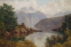 South Island Fiord
