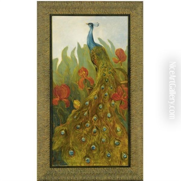 Peacock - view 1