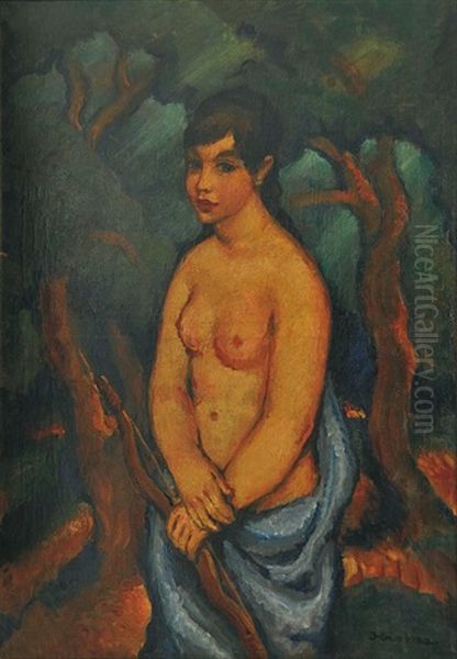 Amazonka - view 1