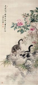Cat Cat