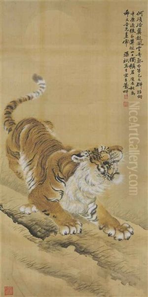 Tiger - view 1