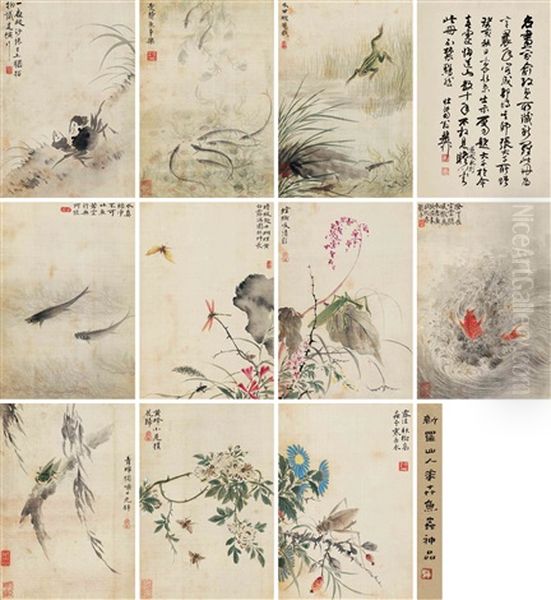 Various Subjects - view 1