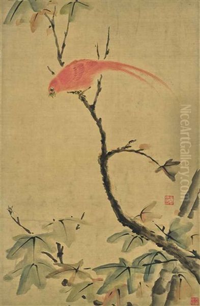 Bird Hunting Insect - view 1